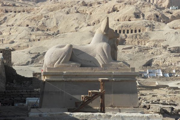 Anubis Sphinx