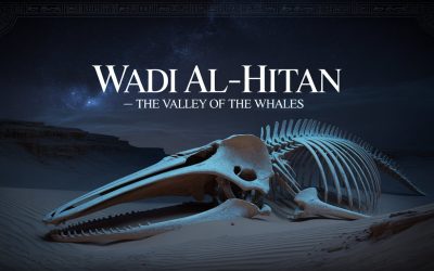 Whale Fossils in Ancient Egypt: Hidden Secrets You Never Knew